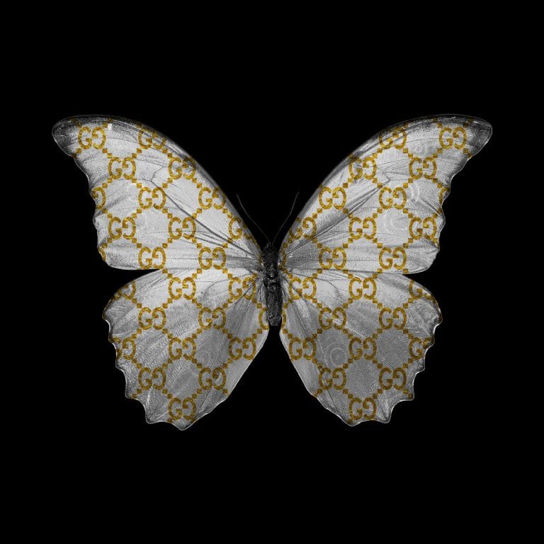 Malerei Plexiglas Morpho Spezial Alu Kunst Dibond Wanddekoration